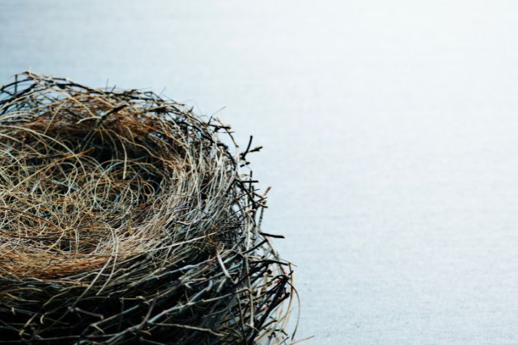 C’est quoi le syndrome du nid vide ?