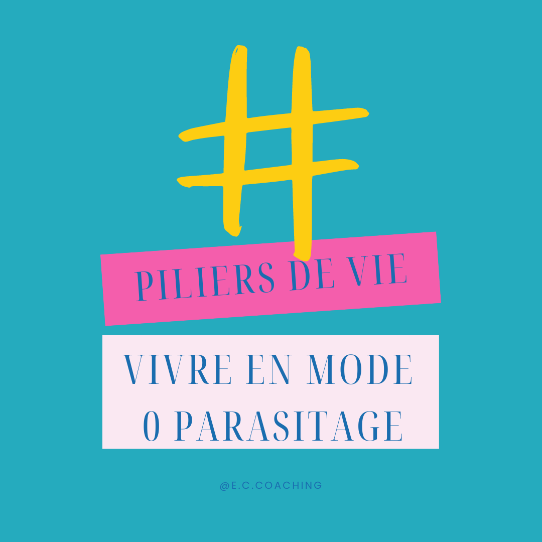 Comment se Libérer des Tracas du Quotidien😃 : Pilier de vie #3 Vivre en Mode Zéro Parasitage :